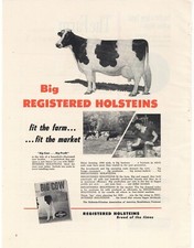 1956 Holstein Friesian Association of America Ad: Fit the Farm - Fit the Market!