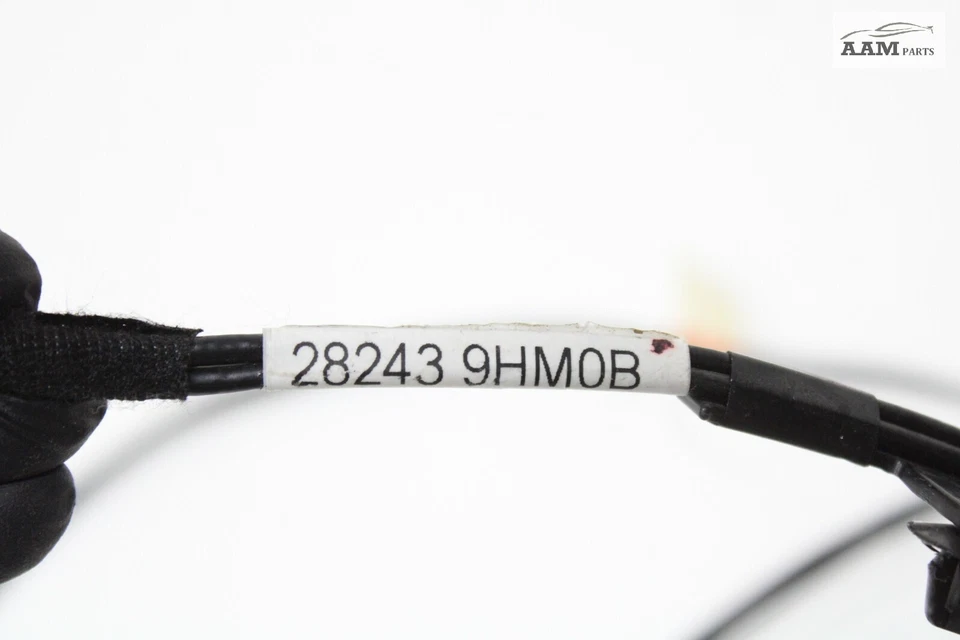 Nissan Altima 2017 navegación alimentador antena cable cableado 282439HM0B OEM Foto 4 de 4