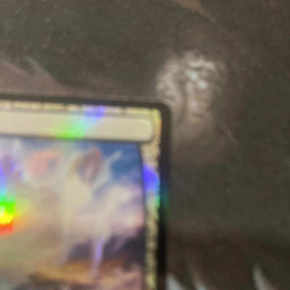 Polluted Delta Zendikar Expeditions Foil MTG Magic The Gathering EDH Fetchland - Image 4 of 4