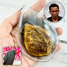 Panneng Skull Tiger Forehead Yantra Protection Commander Tawee Thai Amulet 18095