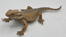 Bearded Dragon Lizard Reptile Toy Model Figure by CollectA 88567 Pre-owned