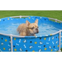 Bestway® Hunde Pool Ø122 X 30,5 Cm Pool FüR Hunde Hundemotiv Poolbecken Hunde