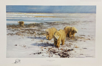David Shepherd - Lone Wanderers of the Arctic - 1500 S/N Limited Edition 