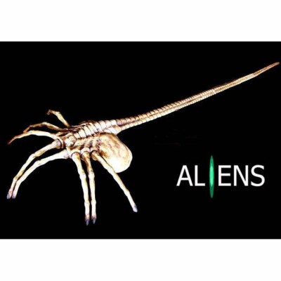 ALIEN FACE HUGGER 1:1 PVCモデル当時物デッドストック ALIEN FACE