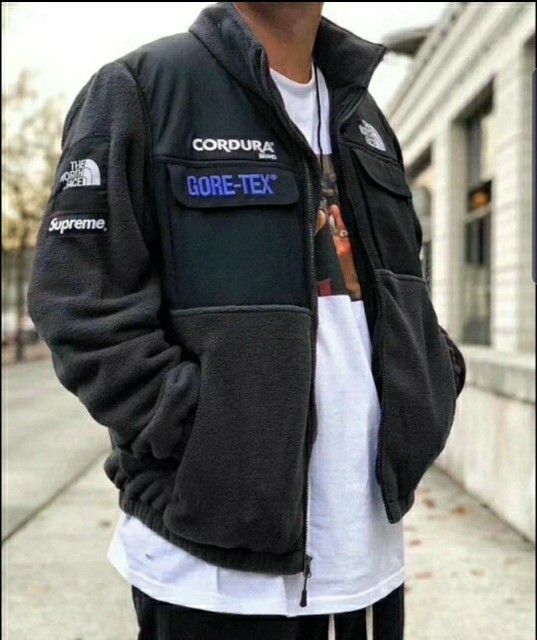 supreme the north face expedition fleece