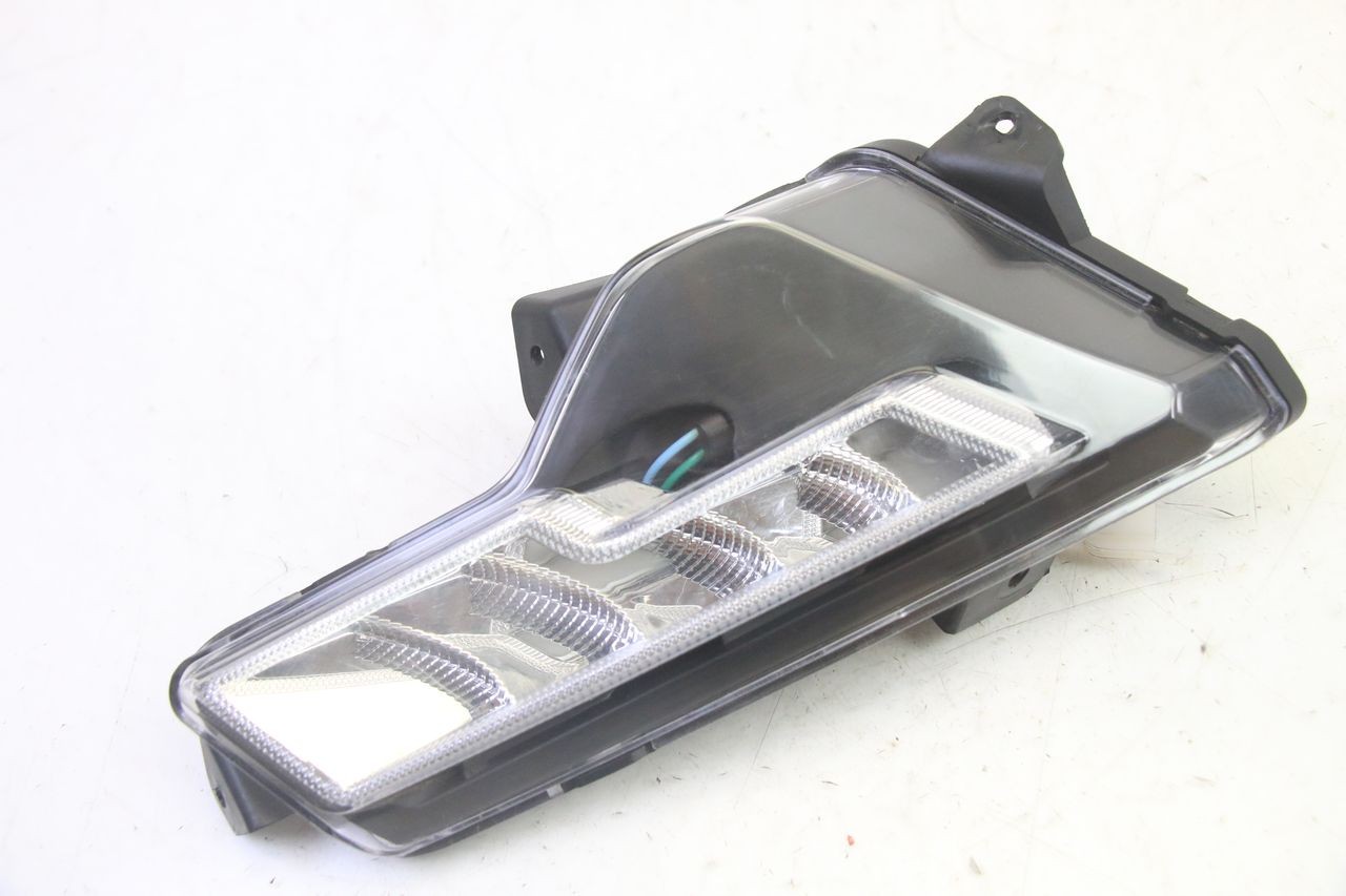 HINTEN RECHTS BLINKER - EFUN PUSA 1
