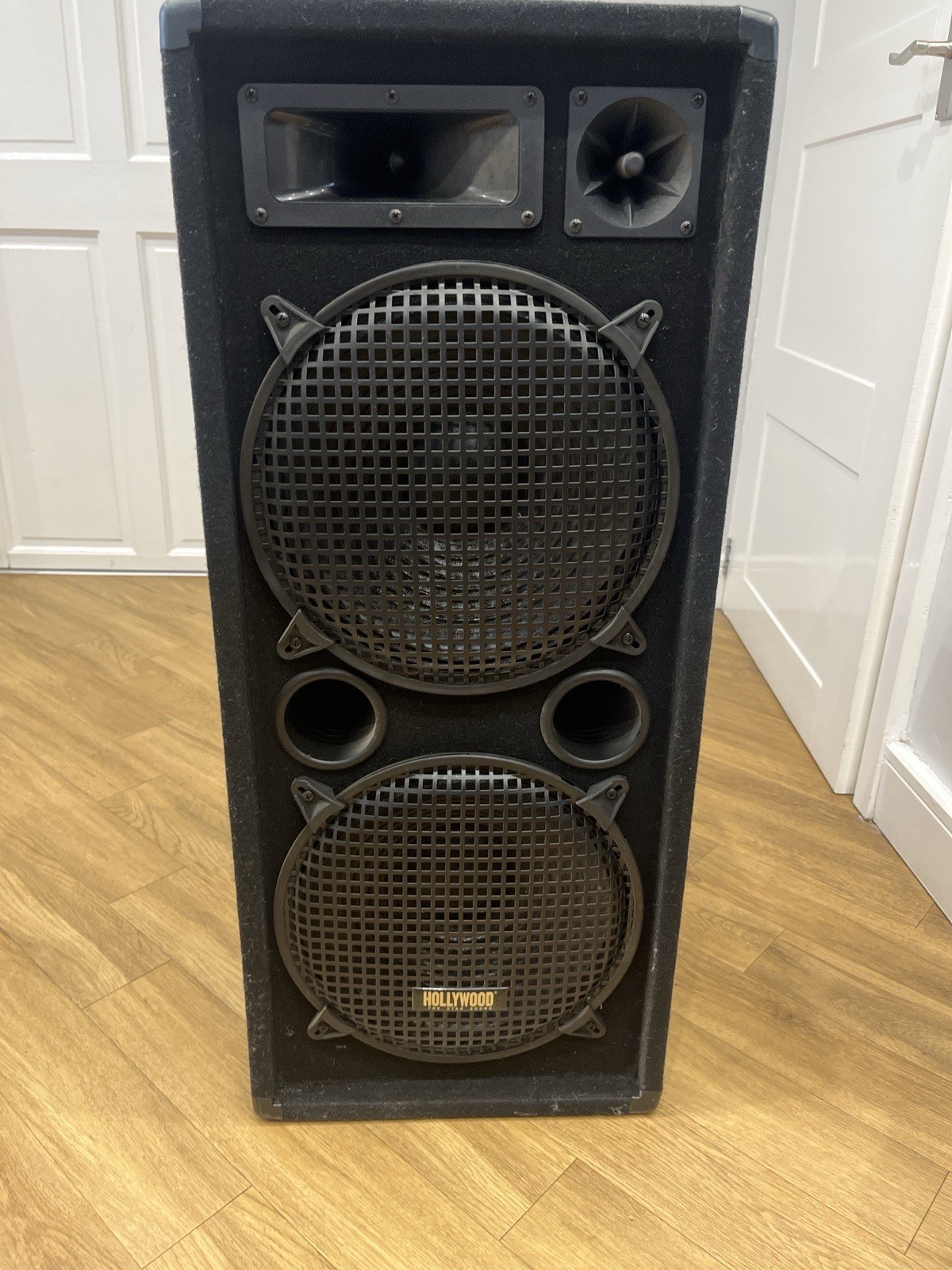 Altavoz PA Profesional Hollywood - Gabinete Grande, Fuerte, Pasivo - No Bluetooth