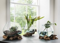Deko-Wurzel Mit Glasvase 20Cm Recyceltes Teakholz Natur Neu Ovp!!!
