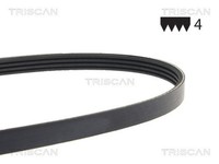Keilrippenriemen Triscan 8640 401063 FüR Honda Mitsubishi Nissan Chevrolet Micra