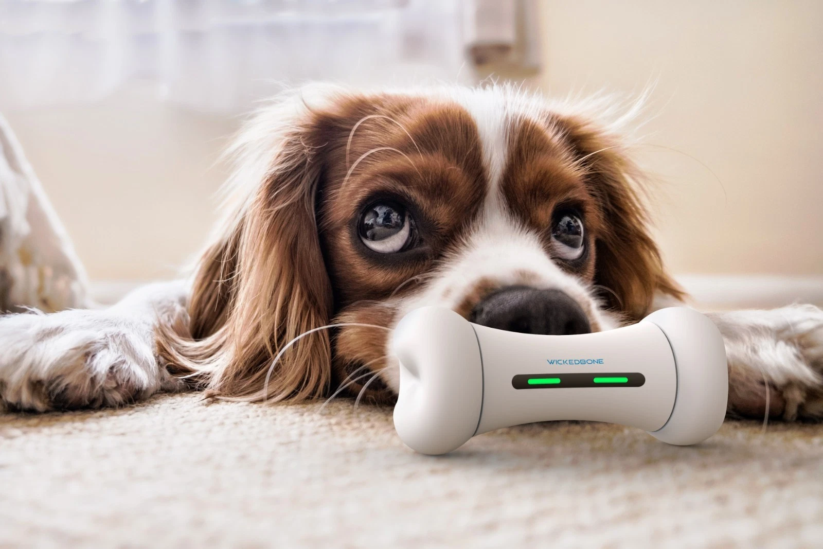 Wickedbone Smart Interactive Bone Pet Toy for Entertainment