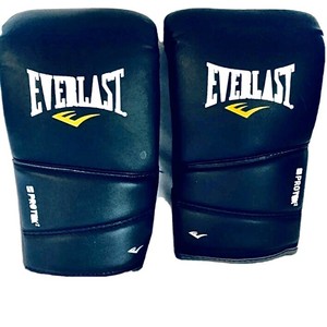 everlast protex2 training boxing gloves