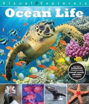 Ocean Life (Visual Explorers) - Paperback By Reynolds, Toby - GOOD