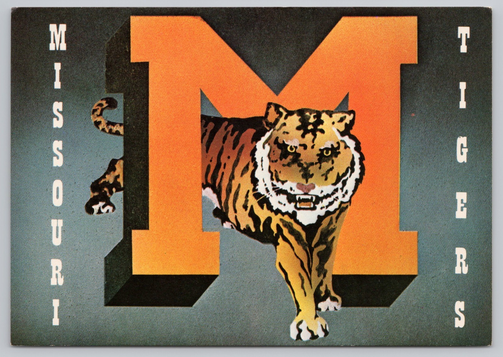 University Of Missouri Columbia Tigers M Logo Tiger Postcard