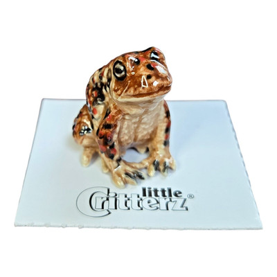 LITTLE CRITTERZ American Toad ''Bufo'' Miniature Figurine New FREE SHIPPING LC318