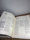 Bild 9 von 23