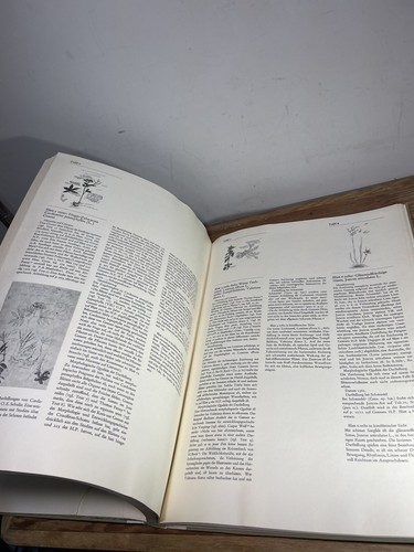 Conradi Gesneri Historia Plantarum Urs Graf Verlag - Picture 9 of 23