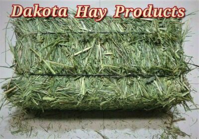Timothy Hay 2024 First Cut 1 Bale =2.5 Pounds