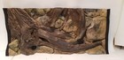 Bild 25 von 50