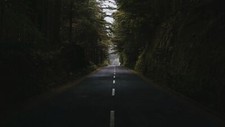 Landscape nature road trees Custom Gaming Mat Desk