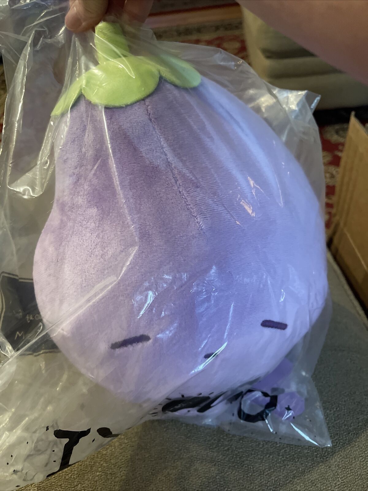 Authentic / Genuine Official OMOCAT Omori Mr. Plantegg Aubrey Plush  Unopened - Grupo Velocity