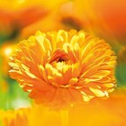 Bild 7 von 12