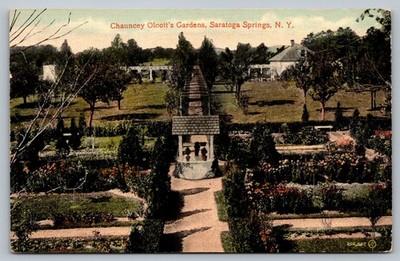 Chauncey Olcott's Gardens Saratoga Springs NY Antique Postcard Wishing Well