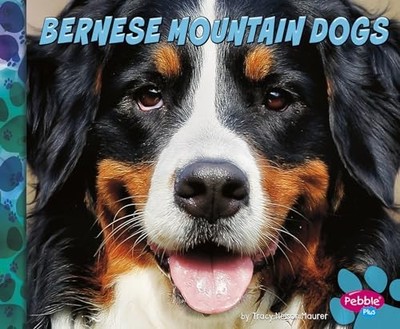 Bernese Mountain Dogs by Allan Morey (2016, Library Binding)