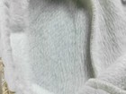 Bild 13 von 15