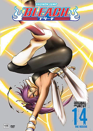 BLEACH Manga Volume 54