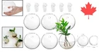 Set of 6 Sleek White Glass Air-Purifying Planters - Hydroponics Terrariums