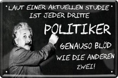 Blechschild Albert Einstein Spruch  Laut Einer Studie Politiker genauso blöd  20