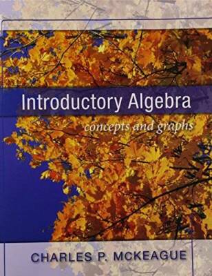 Introductory Algebra Concepts and Graphs - Paperback - GOOD