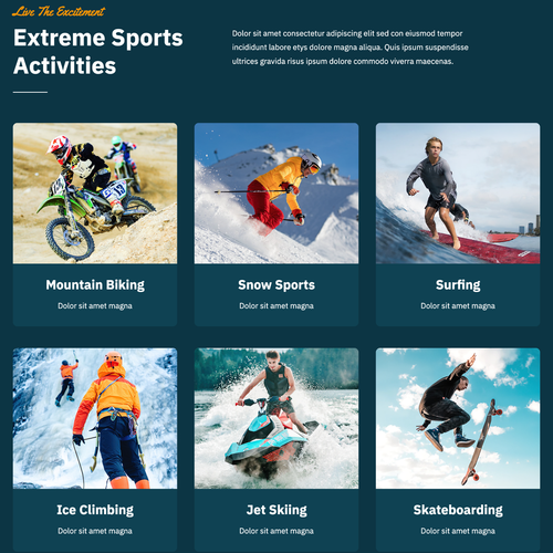 Extreme Sports Website Design with Free VPS Web Hosting and Installation - Picture 2 of 8