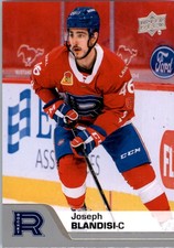 2020-21 Upper Deck AHL #114 Joseph Blandisi - HKY