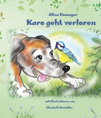 Karo geht verloren | Alina Domayer | 2025 | deutsch