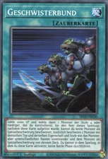 YuGiOh Geschwisterbund SR10-DE030 Common NM 1st