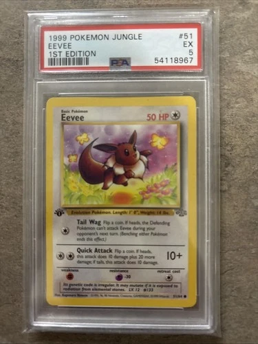 Eevee Jungle 51/64 1st Edition Psa 5