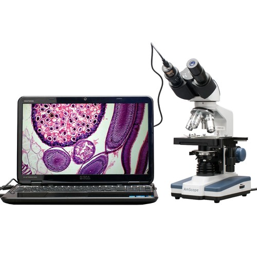 AmScope 40-2500X LED Digital Binocular Compound Microscope +3MP Camera+ ...