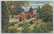 Linen Postcard Beautiful Gardens St. John's River Jacksonville FL