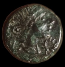 Volques Arles Arecomici