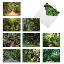 10 Assorted All Occasion Note Cards Blank - NATURE TRAILS