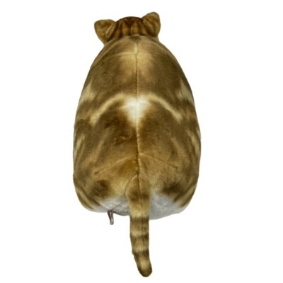 Fatty Zoo Scottish Fold Cat Animals Plush Toy Kawaii Neko from