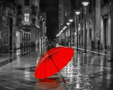 Paint By Numbers DIY Kit Red Umbrella 40CMx50CM Canvas