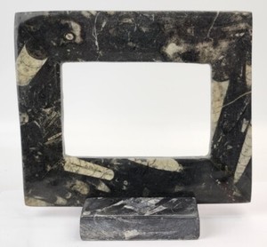Orthoceras Fossil Picture Frame - Morocco
