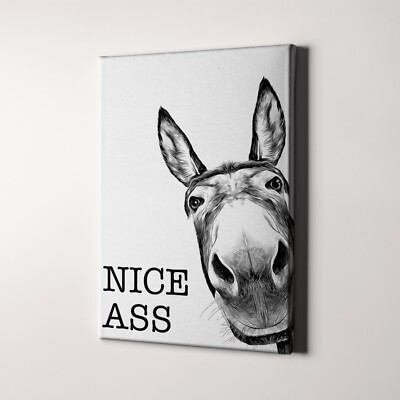 Nice Ass Donkey Funny Animal Bathroom Toilet Black White Canvas Wall Art Print