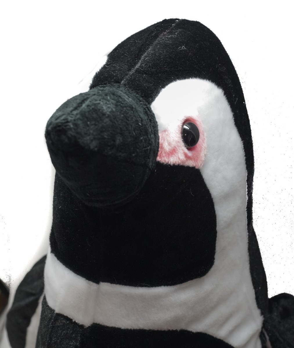 Genuine Fiesta Toy African Spotted Penguin Plush Toy Nature Themed