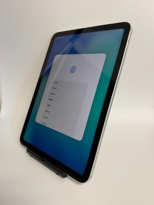 Apple iPad (2022) 10th Gen Wi-Fi + Cellular Silver 64GB Fair - Minor screen flaw