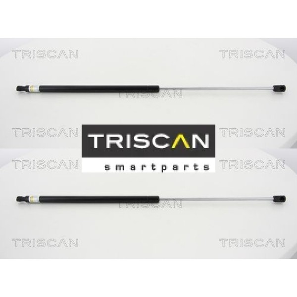 2X Gasfeder FüR Motorhaube Triscan 871012107 2 GasdäMpfer Motorraum-image