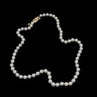 Mikimoto 18k Yellow Gold Japanese Akoya Cultured Pearl 18in Necklace #JB718-2 — photo 3