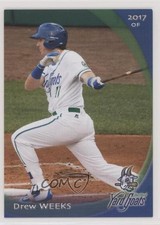 2017 Grandstand 2016-17 Hartford Yard Goats Drew Weeks 0b5
